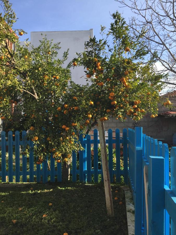 Apartmán Casa Ondina Ussana - Giardino, Wi-Fi, Aria Condizionata Exteriér fotografie